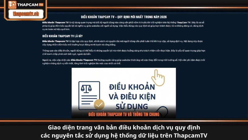 Giao diện trang văn bản điều khoản dịch vụ quy định các nguyên tắc sử dụng hệ thống dữ liệu trên ThapcamTV