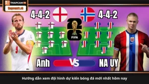 hướng dẫn xem đội hình dự kiến bóng đá mới nhất hôm nay