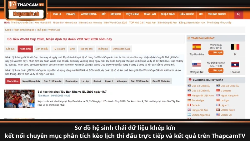 Sơ đồ hệ sinh thái dữ liệu khép kín kết nối chuyên mục phân tích kèo lịch thi đấu trực tiếp và kết quả trên ThapcamTV