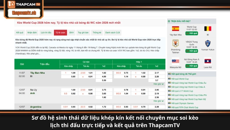 Sơ đồ hệ sinh thái dữ liệu khép kín kết nối chuyên mục soi kèo lịch thi đấu trực tiếp và kết quả trên ThapcamTV