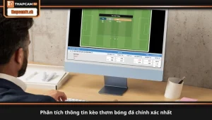 phân tích thông tin kèo thơm bóng đá chính xác nhất