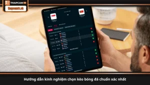 hướng dẫn kinh nghiệm chọn kèo bóng đá chuẩn xác nhất