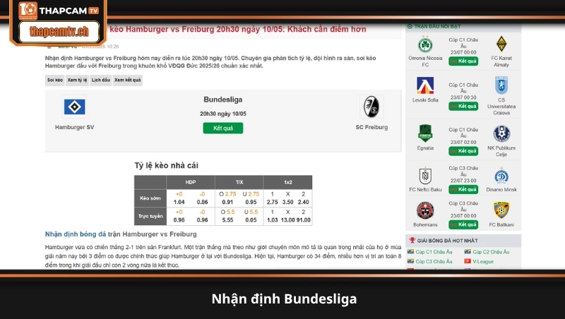 nhận định Bundesliga