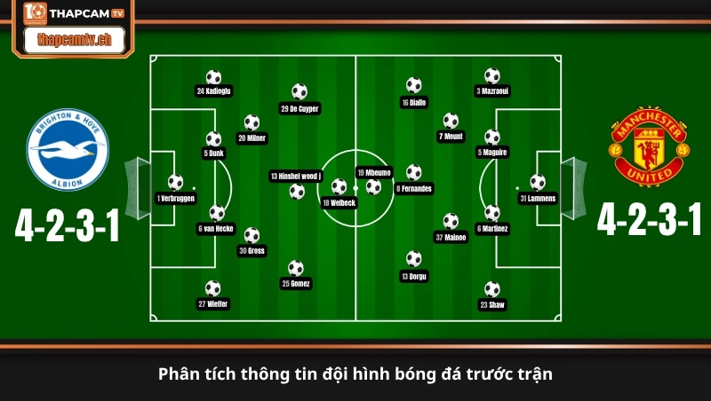 phân tích thông tin đội hình bóng đá trước trận